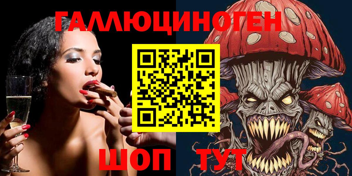 Псилоцибиновые грибы прущие грибы  Чапаевск  Псилоцибиновые грибы Cubensis 