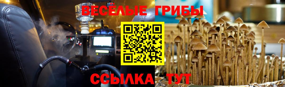 Галлюциногенные грибы Cubensis Чапаевск